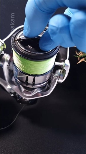 Shimano Sound Test: 21 Ultegra vs 19 Stradic vs 16 Stradic ( ASMR )