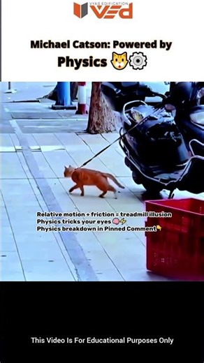 Cat Defies Motion — Physics Explained 🧠🐾 #shorts #viral