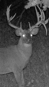 7.3K views · 168 reactions | The Hunt Breakdown for Pinhead is LIVE on YouTube! Donnie Monroe dives into the incredible story and chase for a 209” MEGA GIANT Whitetail known as Pinhead. | The Deer Society | Facebook