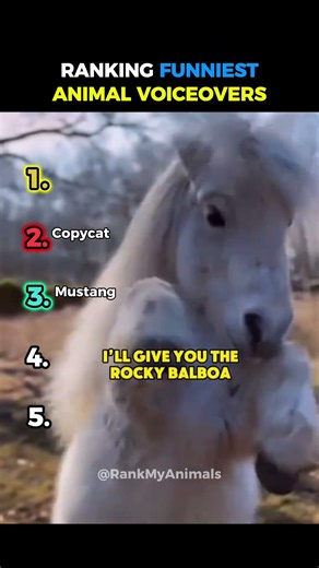 DON'T CLICK THE SOUND 😭☠️