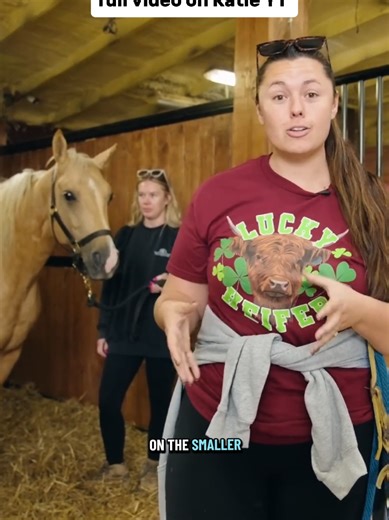 Meet Benedict: The Tiny But Mighty Foal!