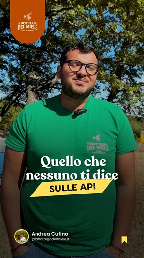 Le api non sono un dettaglio della natura. Sono una colonna portante del nostro cibo e dell’equilibrio agricolo. Quando parliamo di miele artigianale, parliamo anche di biodiversità, impollinazione e rispetto dei ritmi naturali. Ogni vasetto racconta molto più di un sapore. Condividi questo reel con chi ama mangiare bene e in modo consapevole. #mieleitaliano #apicoltura #labottegadelmiele #apicoltorilucani #tradizioneitaliana #cibosano #prodottilocali #mieleartigianale | La Bottega del Miele