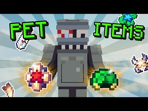 Let's Talk About Pet Items | Hypixel Skyblock