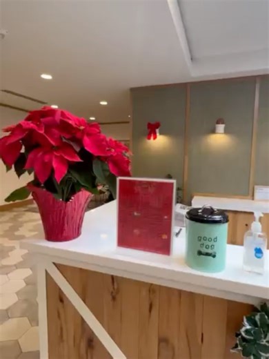 Falls Green on Reels