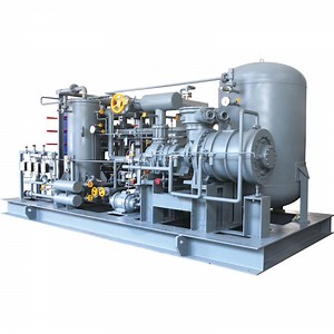 [Hot Item] High Capacity Gas Recovery Facilities Compressor for Natural Gas Wellhead