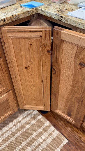 Tammy Jackson on Reels