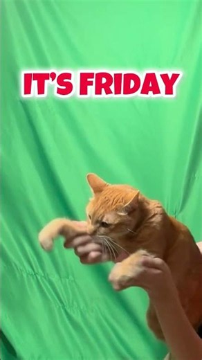 Happy Friday 🍟#pov #skit #relatable #comedy #ayb