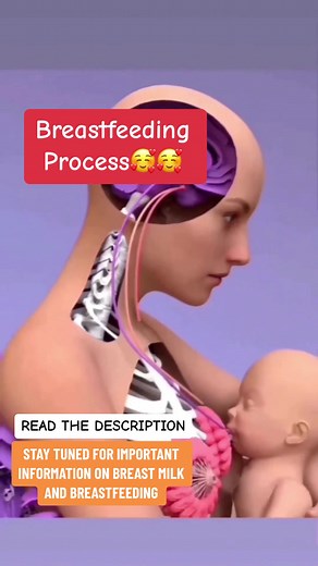 Breastfeeding Process: Hormones and Milk Production Explained