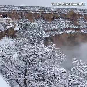 473K views | GRAND CANYON SNOW: Here is a look at a snowy Grand Canyon Village as thick clouds hid the view of the natural wonder. (: Grand Canyon NPS) | Gray Media Digital Content Center | Facebook