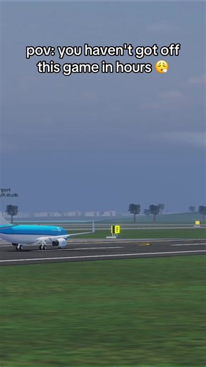 help me #roblox #robloxrp #fyp #viral #flightmaster