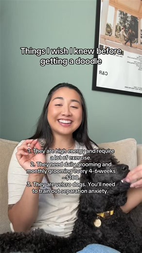 Claire | UGC Creator on Instagram: "If you’re thinking about getting a doodle, here are a few things you should know: 1. They’re high-energy and need a lot of daily exercise and mental stimulation. 2. Grooming is non-negotiable. Daily brushing plus professional grooming every 4–6 weeks (around ~$100) is part of the deal. 3. They’re velcro dogs. Separation anxiety is common, so training and boundaries are a must. They’re definitely high-maintenance and require a real commitment of time, money, an