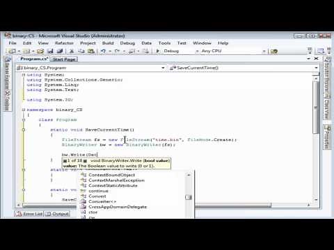 Reading and Writing Binary Files using C#