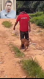 Dog lover si tatay😁 | Boss Kotv