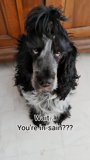 What's up Narcos? sur TikTok