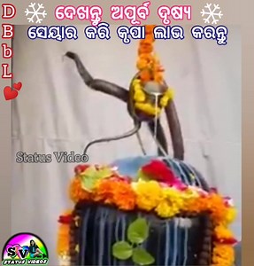 ଓମ୍ ନମଃ ଶିବାୟ 🙏... ନିଶ୍ଚୟ ଗୋଟେ ସେୟାର କରନ୍ତୁ... | Status Video