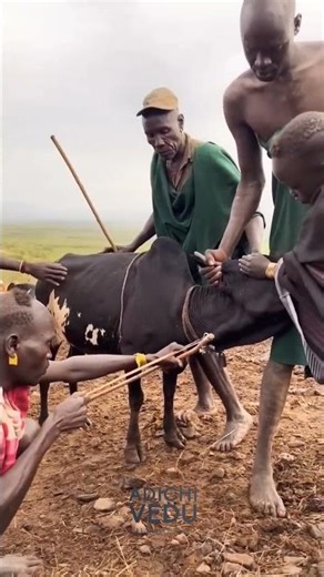 How do tribals make arrows? 😲 | Secret in the forest! #tamilshort