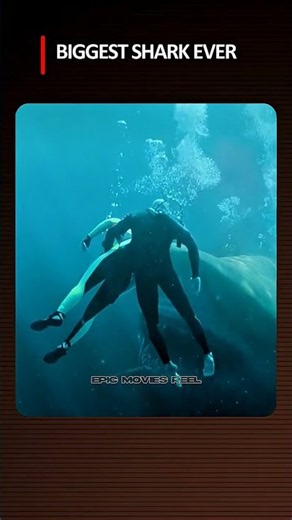 This Shark Was Bigger Than the Boat… What Happens Next Is Insane The Meg 720P
