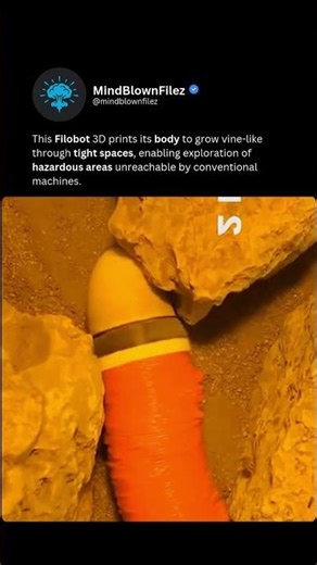 This Robot GROWS Through Tight Spaces Like a Vine 🌱🤖