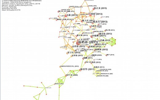 16参考文献共被引图【理论 实战】全面深度讲解CiteSpace，解决使用过程中的各种难题ucinet pajek vosviewer gephi bibex。