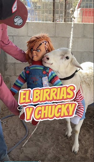 El Birrias y Chucky @Chucky Store 🩸 | Chucky