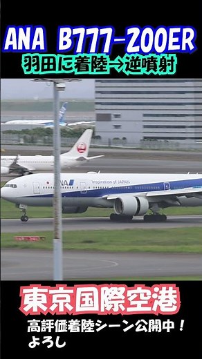 【大迫力】ANA B777-200ER ✈️ JA741Aの力強い着陸！羽田空港 #飛行機