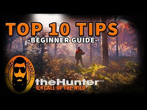 TOP 10 BEST TIPS & TRICKS FOR BEGINNERS in THE HUNTER Call of the Wild!