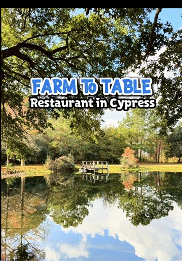 Experience Farm to Table Dining at Seasons Harvest