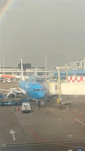 KLM 737 Economy Review