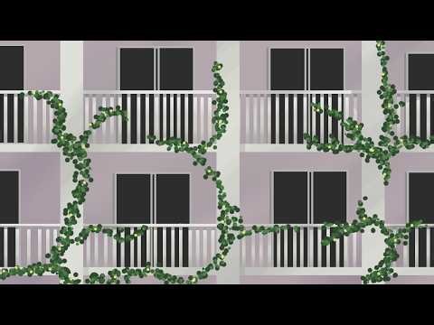 CX-Programmer PLC Study - ChibaKune [Animachii Studio] / Chill Stream