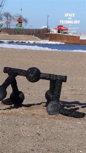Tiny Modules Combine to Form Animal-Like Robots