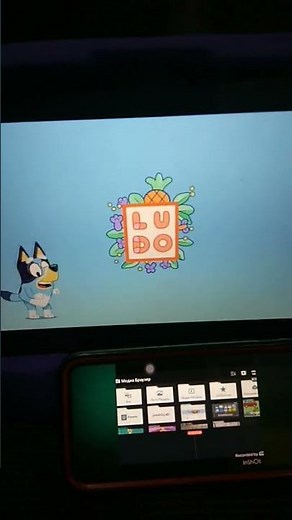 bluey hospital end credits