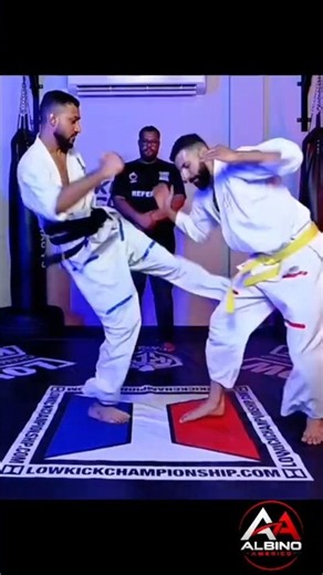 Powerful Self-Defense Kicking Techniques