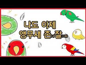 누구나 쉽게 앵무새 그리기