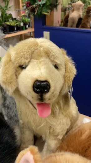 Realistic Stuffed Animals Ready for Christmas! #stuffedanimals #realisticplush #xmasgifts #giftideas