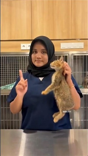 my pet viral video 🤣 #funny #funnyvideo