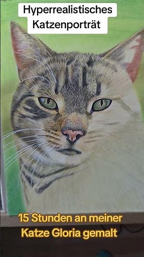 Hyperrealistische Katze malen #katze #cat #zeichnung #tamarawessnerart #portrait