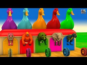 Expert Reveals SECRET 3D Animal Racing Techniques