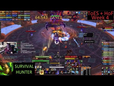 H ToES + H HoF 25 man - Survival Hunter PoV - Week 1 MoP Phase 2 - 9-28-25