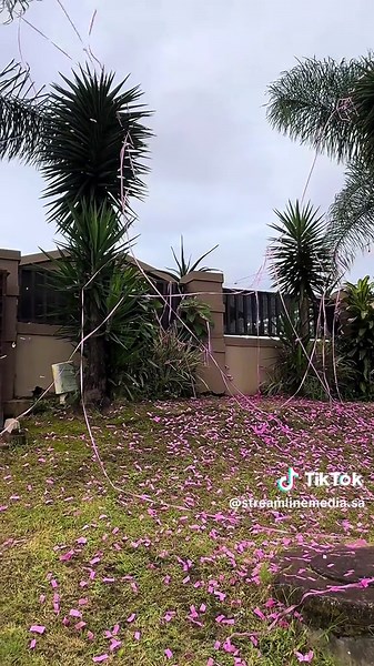 Unforgettable Pink Rain Experience