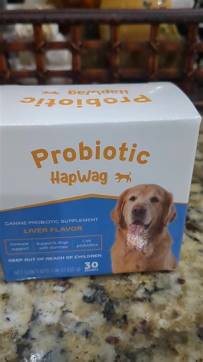 The Benefits of Probiotics for Dogs