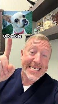 Deep bite vs overbite vs overjet vs underbite vs open bite