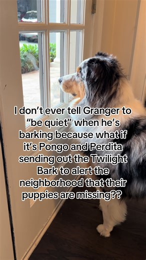 Understanding the Twilight Bark in Dogs