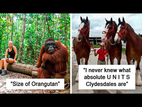 Amazing Photos Showing the True Scale of Things Compared to the Human Body