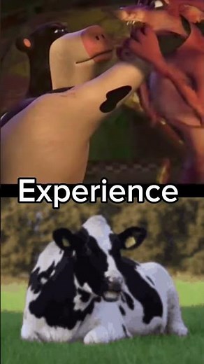 Oits VS Cow #barnyard #backatthebarnyard