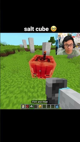 Minecraft Cute Sulfur Cube Moment
