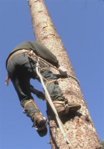 Ax Men S01:E04 - The Big Hit