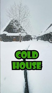 When Your House Is TOO Cold… 😂❄️