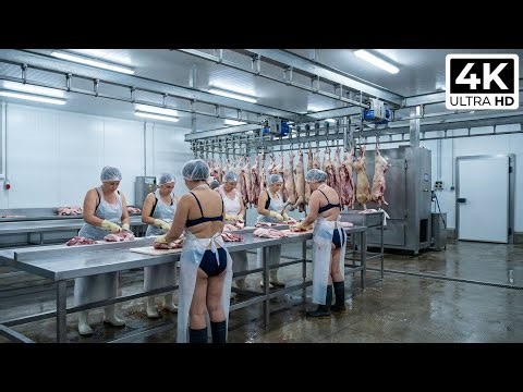 Inside a High-Tech Sheep Processing Factory | Meat, Milk, Leather & Sausage Casings
