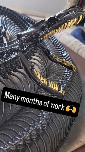 My latest taxidermy creation 🙌 This is a full 16ft Burmese Python skeleton. This project took several months of work but it is finally complete! This skeleton is available and I have shipping options, message me if you're interested. #fyp #foryou #explorepage #explore #snake #reptile #fypシ #reels #skeleton #skull #taxidermy #fullskeleton #bones #art #forsale | Snakeaholic