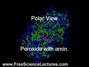 A Video of Molecules